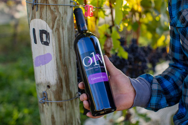 O1V's 2019 Cabernet Gold Winner for the Virginia Governor's Cup 2021
